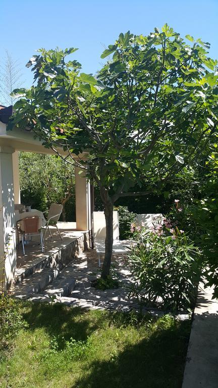 Apartma Beni